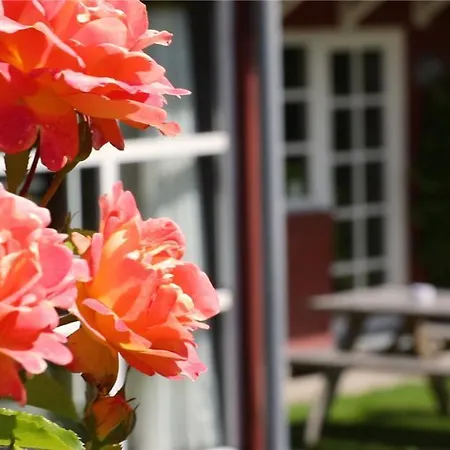 Hotel Allinge 3* Allinge-Sandvig