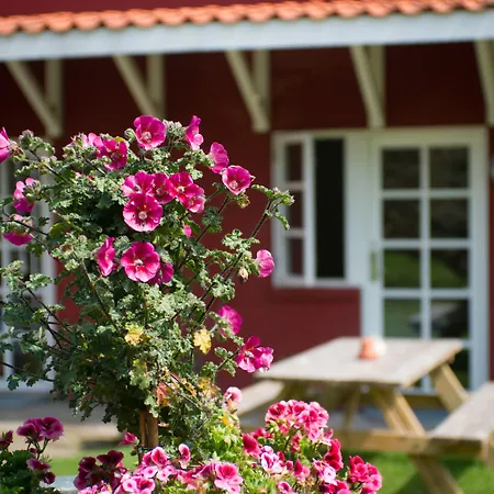 Hotel Allinge 3* Allinge-Sandvig