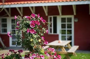 Hotel Hotel Allinge