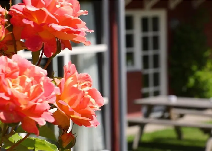 Hotel Allinge 3* Allinge-Sandvig