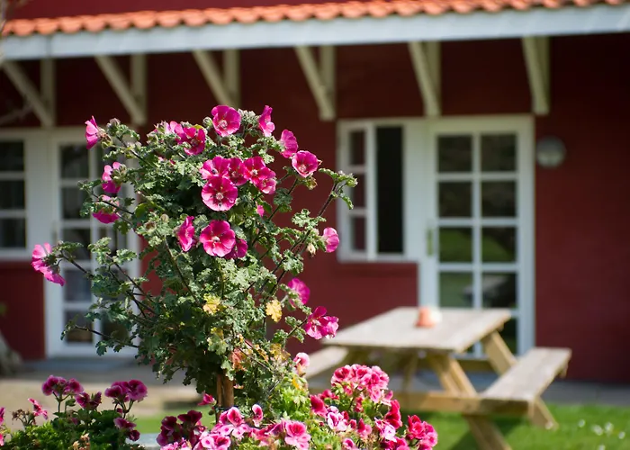 Hotel Allinge 3* Allinge-Sandvig